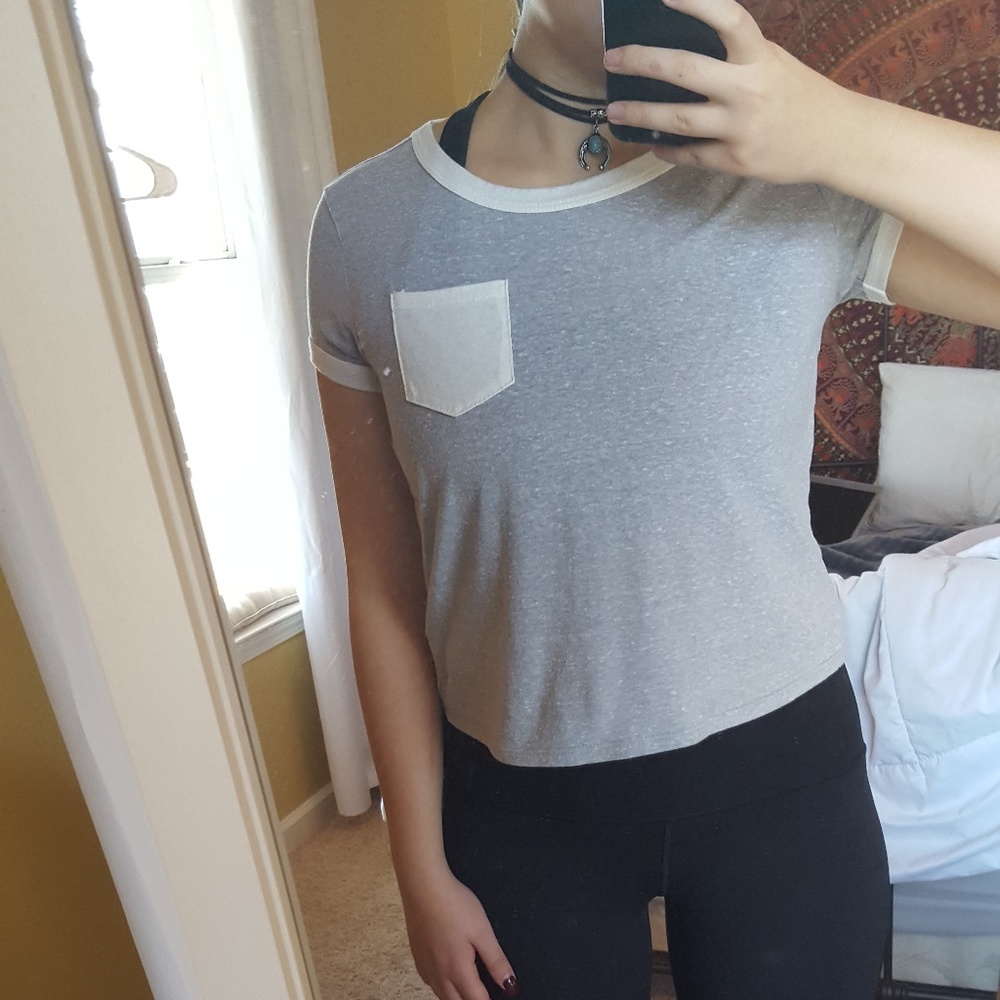 Pacsun Nollie Grey Cropped Tee